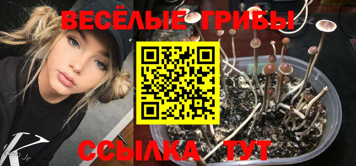 Галлюциногенные грибы мицелий  Галлюциногенные грибы ЛСД  Вход с VPN  Елабуга 